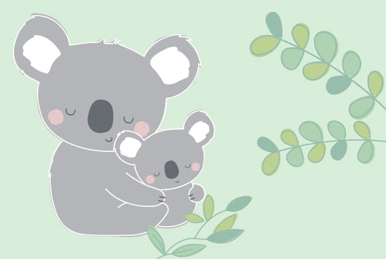 Koko il koala e l’arte delle coccole