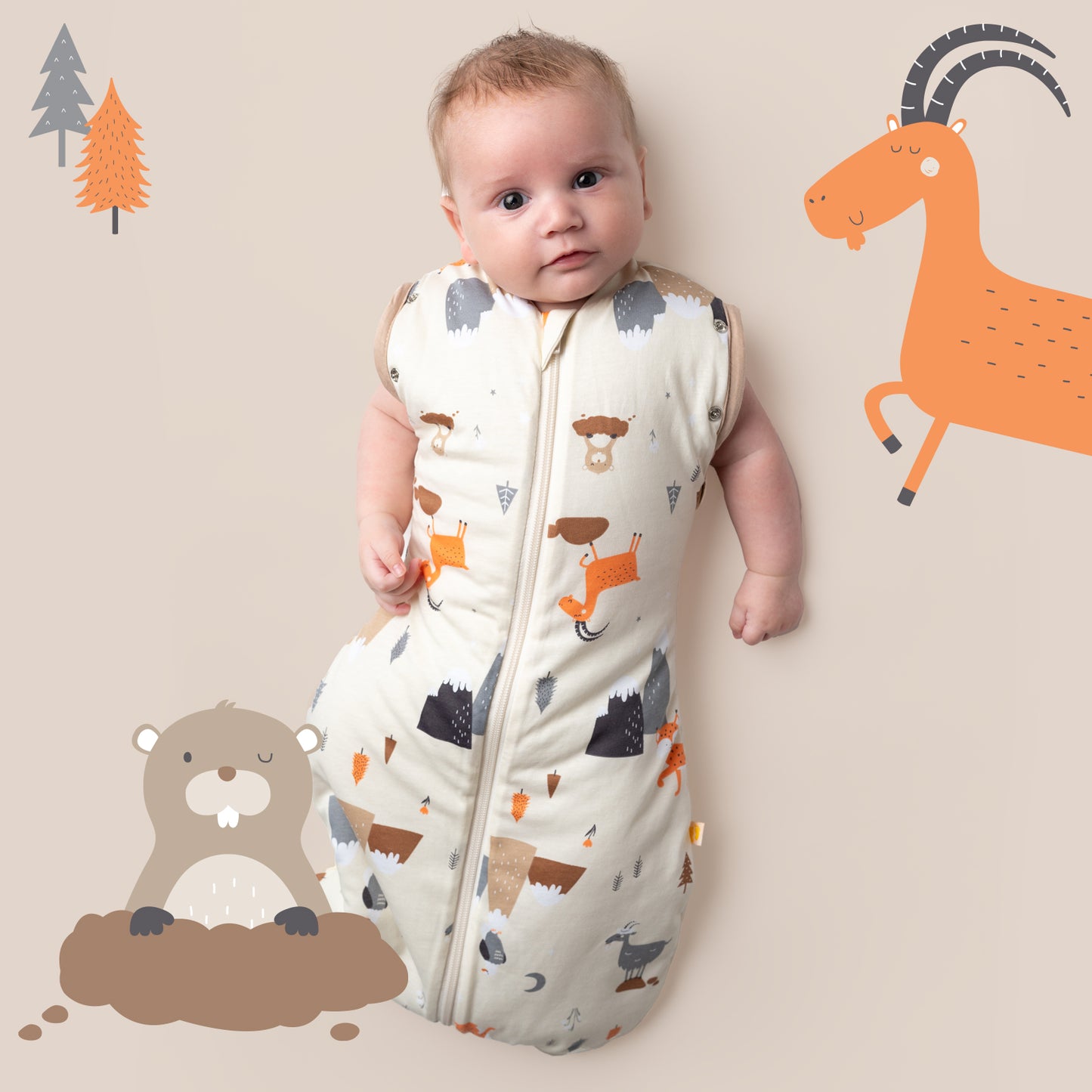 Swaddle Coperta 2.5 TOG